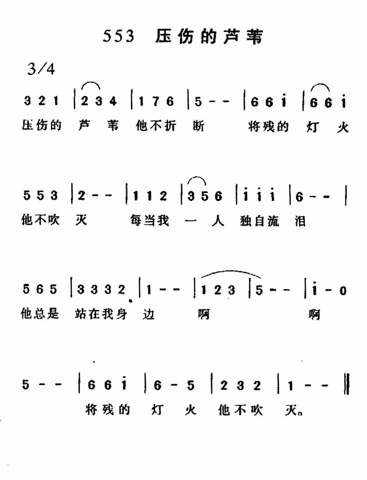 8.11压伤的芦苇.jpg